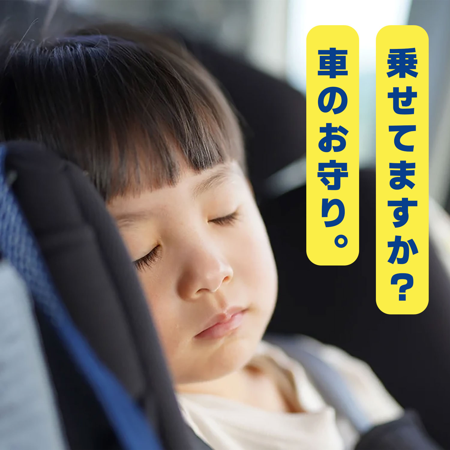 商品詳細|武蔵ホルト株式会社